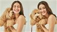 Ananya Panday Shares Adorable Moment with Her Pets, Sparks Speculation About New Project!