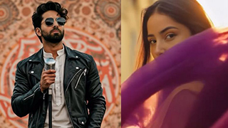 Ayushmann Khurrana Pushes Boundaries with Haryanvi Track 'The Heartbreak Chhora'!