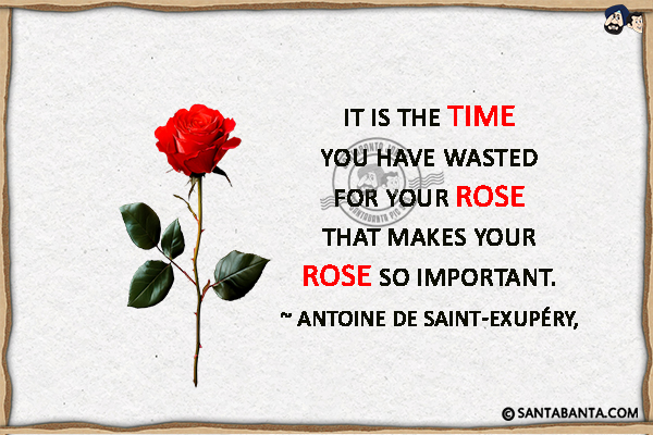 It is the time you have wasted for your rose that makes your rose so important.
