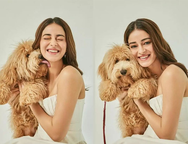 Ananya Panday Shares Adorable Moment with Her Pets, Sparks Speculation About New Project!