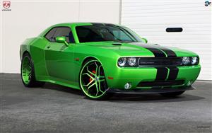 Dodge