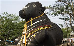 Nandi