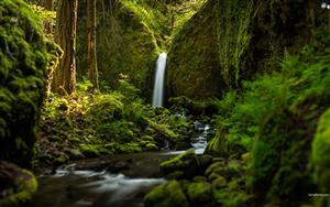 Waterfalls