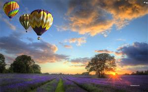 Hot Air Balloons