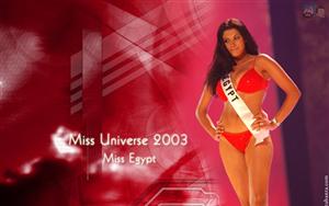 Miss Universe 2003