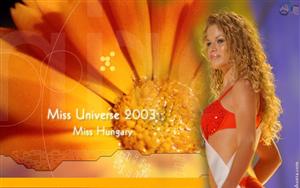 Miss Universe 2003