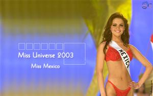 Miss Universe 2003