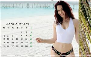 Calendars