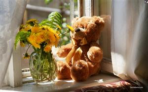 Teddy Bears