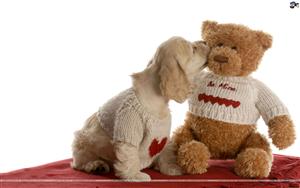 Teddy Bear Day