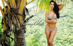 Arianny Celeste