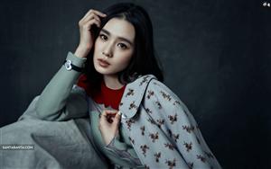 Liu Shishi