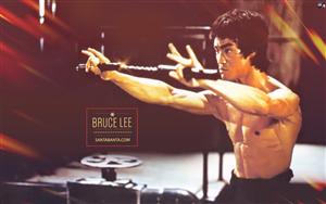 Bruce Lee