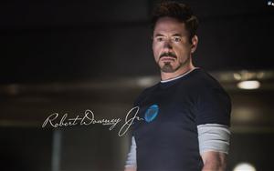 Robert Downey Jr