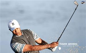 Tiger Woods