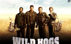 Wild Hogs