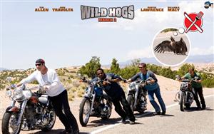 Wild Hogs