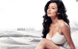 Asha Saini