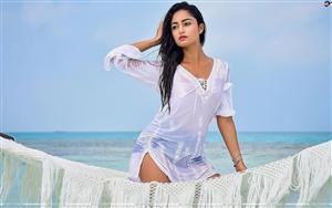 Tridha Choudhury