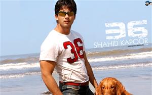 Shahid Kapoor