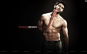 Taaha Shah