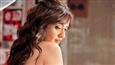 Neha Sharma gets bug bites during love scene