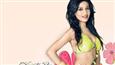 Amrita Rao's big moment: Sharing screen with Big B