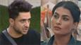 Bigg Boss 14: Aly Goni reveals Pavitra's game in front of the contestant, Gauahar Khan thanks him for speaking up!