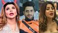 Bigg Boss 14, December 11: Rakhi Sawant, Aly Goni and Nikki Tamboli enter the house!