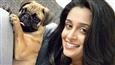 Pooch matters for Dipika Samson