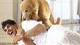 Akki enjoyed working with 100 dogs in 'Entertainment'