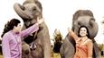 'Haathi Mere Saathi' to be remade 