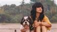 Jasleen Royal pays love Tribute to animals this Valentine's Day with India's first dog music video