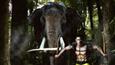 Here's the first look of 'Junglee'!