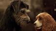 'Lady and the Tramp' Trailer: Disney Brings Another Classic To Life