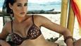 I never wanted to be an actress: Nargis Fakhri