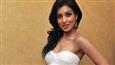 After 'Besharam' Pallavi Sharda turns 'Rajputani' 