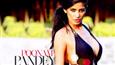 Is Poonam Pandey 'stupid'?