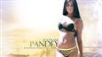 Poonam Pandey will strip on-screen, not kiss