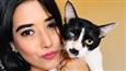 Here's how Prakriti Nautiyal's cat transformed her life!