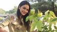 Rakulpreet Singh accepts the green India challenge & shares her 'Hara Hai Toh Bhara Hai' efforts!