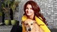 Time to rewrite weak animal cruelty laws: Raveena Tandon