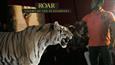 Salman pets Tiger during 'Roar' trailer launch