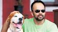 Rohit Shetty to watch 'Dilwale' with audience this Christmas