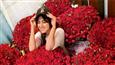 Sonal Chauhan's secret admirer sending her thousand roses everyday