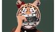 The Ambush of Tigers! Zoya and Reema’s Tiger Baby Films gets a unique welcome on Instagram by top celebrities