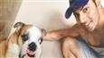 Pooch love on 'Dishoom' sets for Varun Dhawan