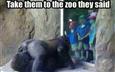 A Trip to the Zoo