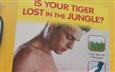 Is Your Tiger Lost?