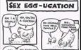 Sex Egg-ucation!